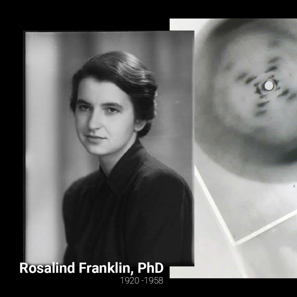 Rosalind Franklin, PhD with a partial view of Photograph 51, an X-ray diffraction image of DNA taken by Franklin and her PhD student Raymond Gosling at King's College London in 1952.