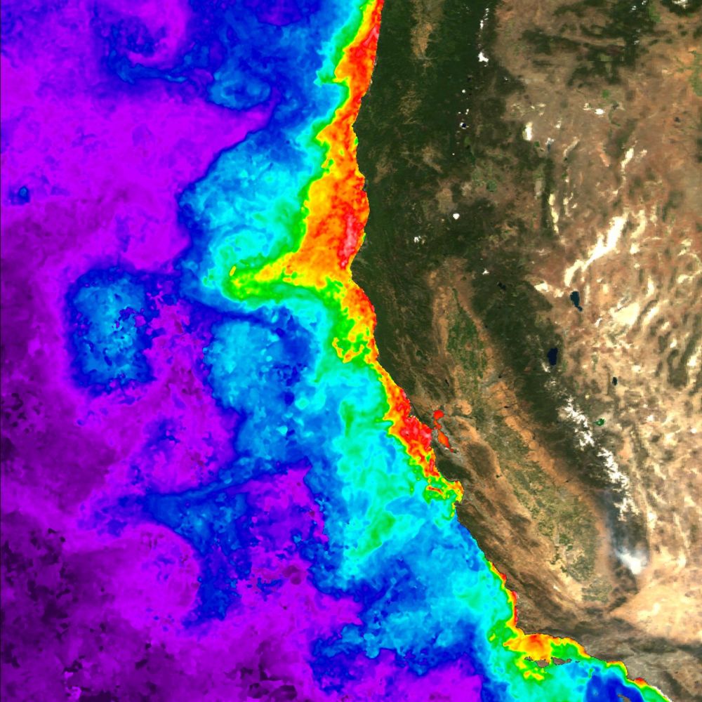 Scientists discover molecular predictors of toxic algal blooms that pose health risk, ecological and economic harm