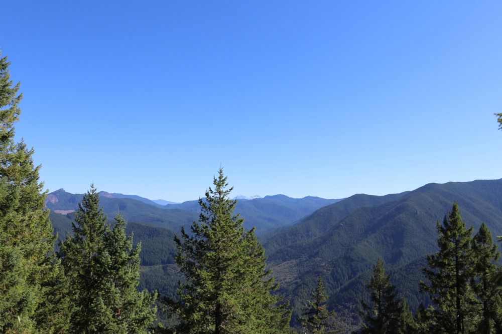 A landscape photo of a very densely forested part of the Cascades