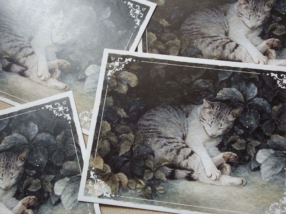 several art prints featuring a tabby cat sleeping in plants.