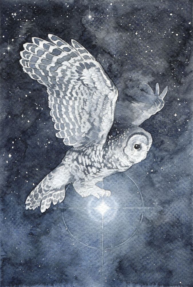 watercolor painting of a spotted owl flying in a blue grey starry sky. A large star seems to be hanging from its talons.