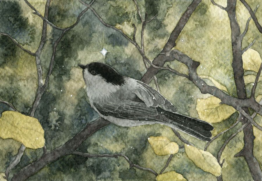 watercolor painting, a cute chickadee on a branch surrounded by greenery. There's a star shining in the background, above the bird's head.