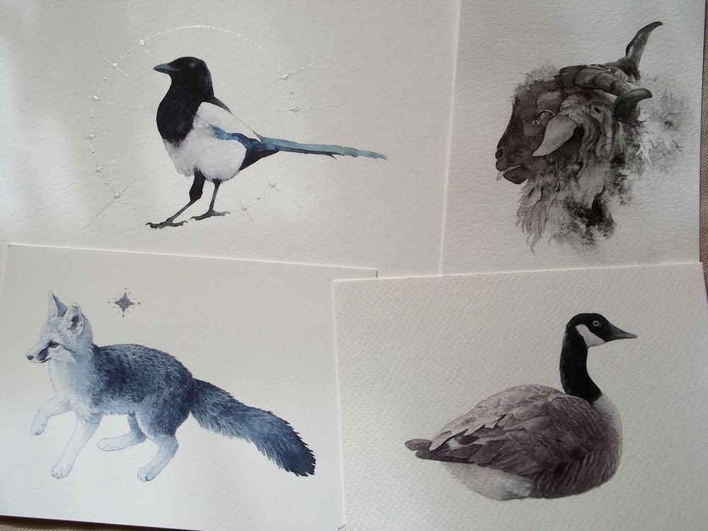 four watercolor paintings, a magpie, a goat, a fox and a goose