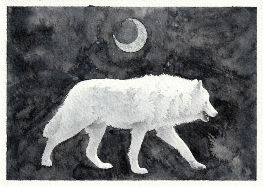watercolor painting of an arctic wolf walking under a crescent moon on a dark grey/black background.