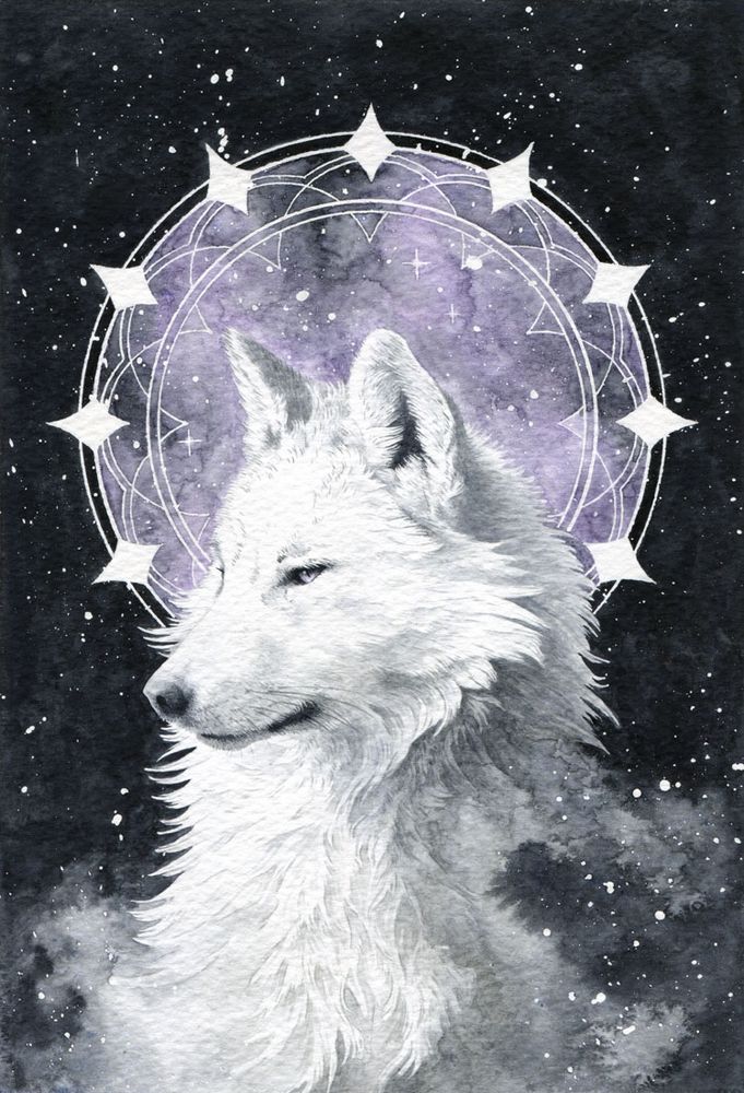 watercolor painting, the portrait of a fluffy white wolf with a magic circle and stars in the background.
