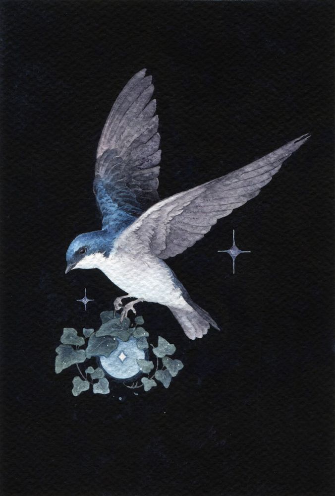 watercolor painting, a tree swallow holding a round blue light covered in ivy leaves while flying. The background is black with two stylized stars on each side of the bird.
