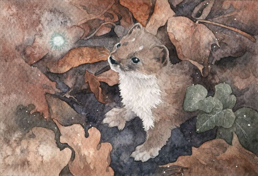watercolor painting of a cute stoat standing in a pile of fallen leaves, looking up at a blob of light floating above. The stoat has two tiny horns and a very boopable snoot.
