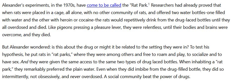 Alexander’s experiments, in the 1970s, have come to be called the “Rat Park. Researchers had already proved that when rats were placed in a cage, all alone, with no other community of rats, and offered two water bottles-one filled with water and the other with heroin or cocaine-the rats would repetitively drink from the drug-laced bottles until they all overdosed and died. Like pigeons pressing a pleasure lever, they were relentless, until their bodies and brains were overcome, and they died.

But Alexander wondered: is this about the drug or might it be related to the setting they were in? To test his hypothesis, he put rats in “rat parks,” where they were among others and free to roam and play, to socialize and to have sex. And they were given the same access to the same two types of drug laced bottles. When inhabiting a “rat park,” they remarkably preferred the plain water. Even when they did imbibe from the drug-filled bottle, they did so intermittently, not obsessively, and never overdosed. A social community beat the power of drugs.