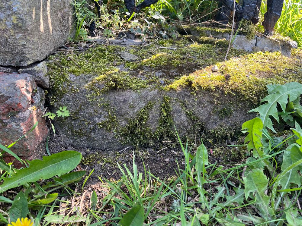 A moss covered stone with foliage in front.