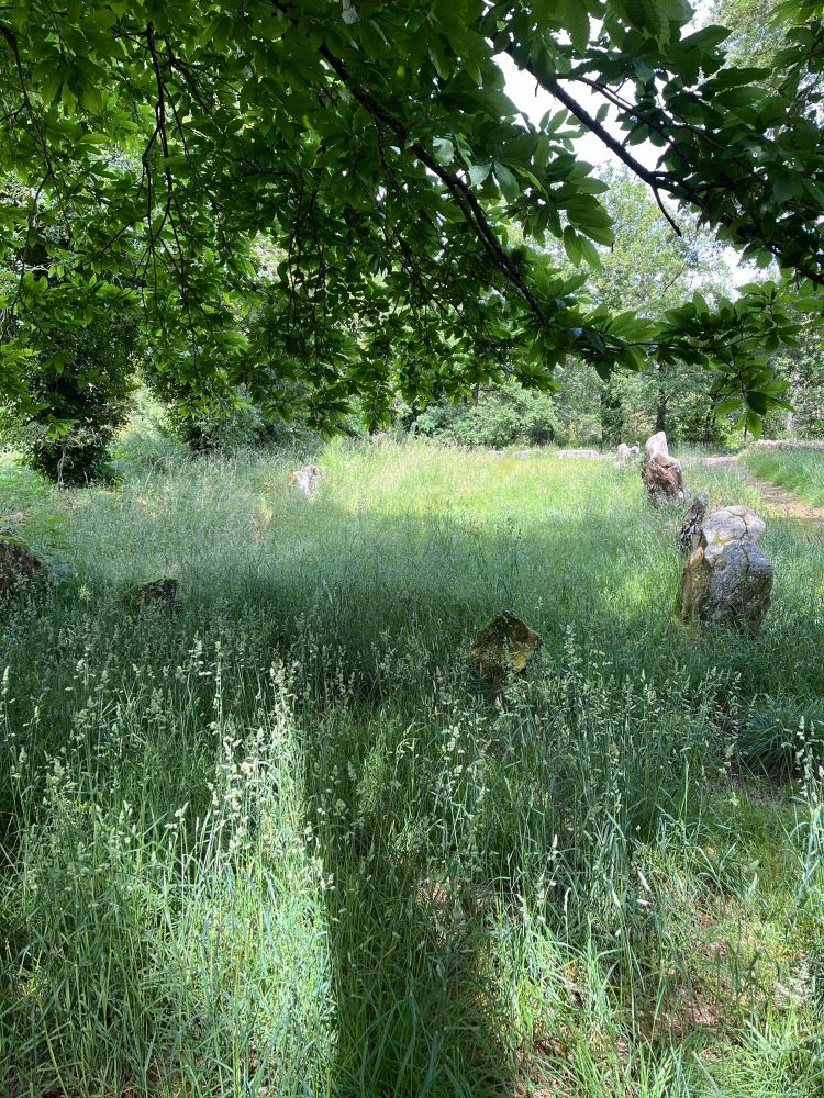 A group of standing stones forming a square. The space inside the stones has tall grass.