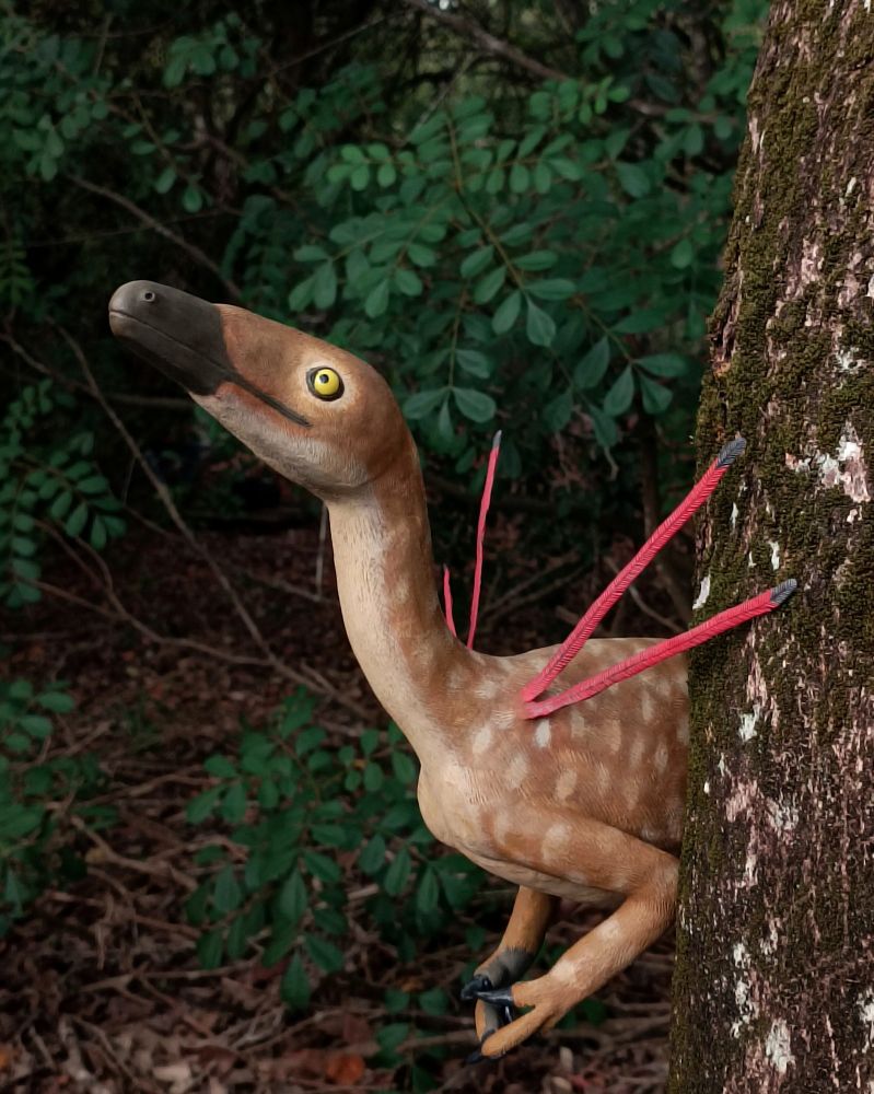 Um modelo em tamanho real do dinossauro Ubirajara, saindo de trás de um tronco numa área de floresta fechada