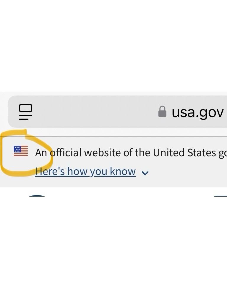 American flag with 13 stars, on all .gov sites. 