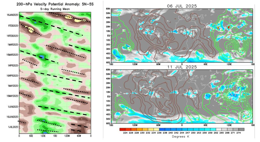 Analysis of the 200 hPa velocity potential (green: anomalous divergence->favorable for precipitation, brown: anomalous convergence)