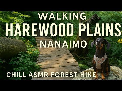 Walking Harewood Plains, Nanaimo | Chill ASMR Forest Hike on Vancouver Island