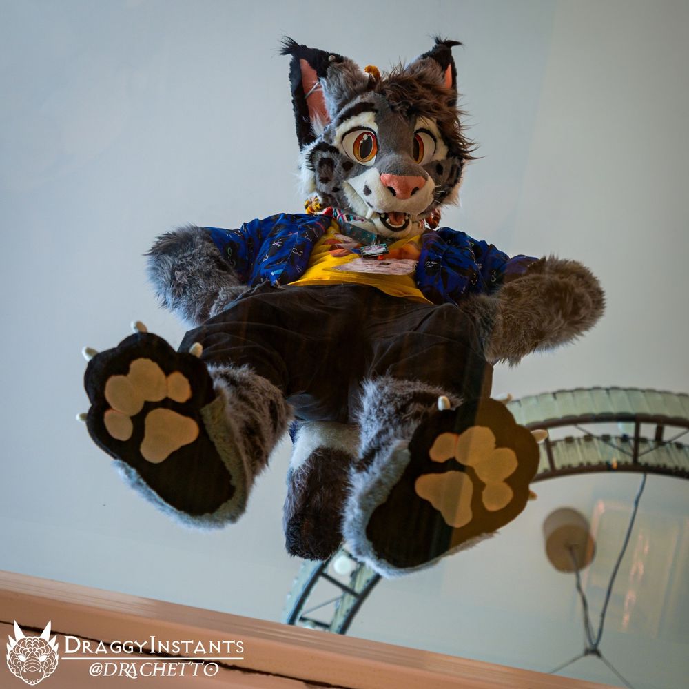 From-below shot of an anthro feline standing on a glass ceiling (or currently a glass floor for him). His expression is welcoming you - the viewer - to come to the upper floor yet the main focus of this moment are the soft beans squished against the glass.