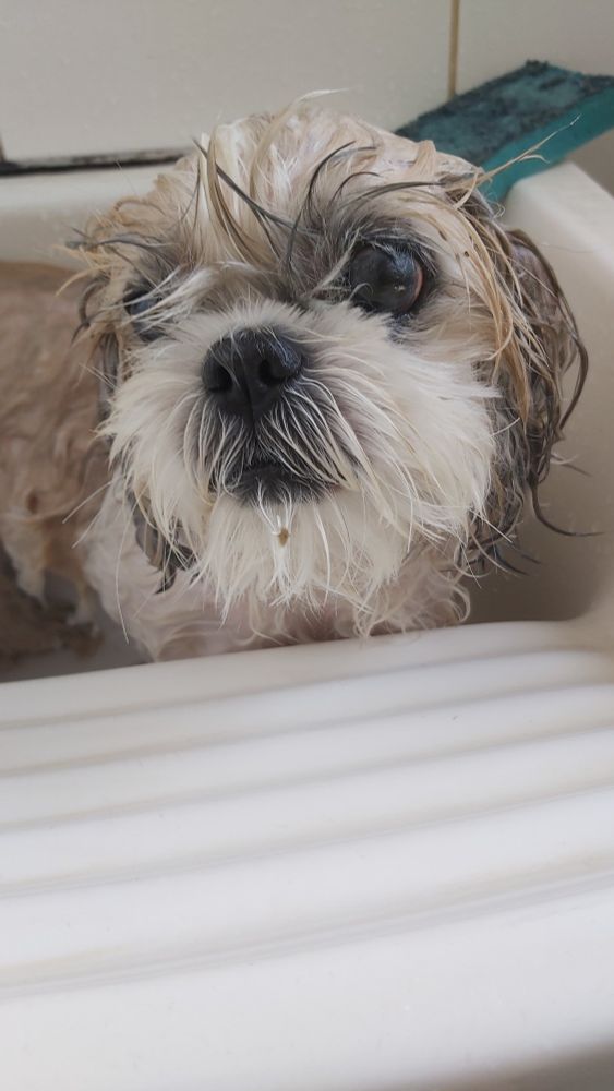 bella te encarando diretamente