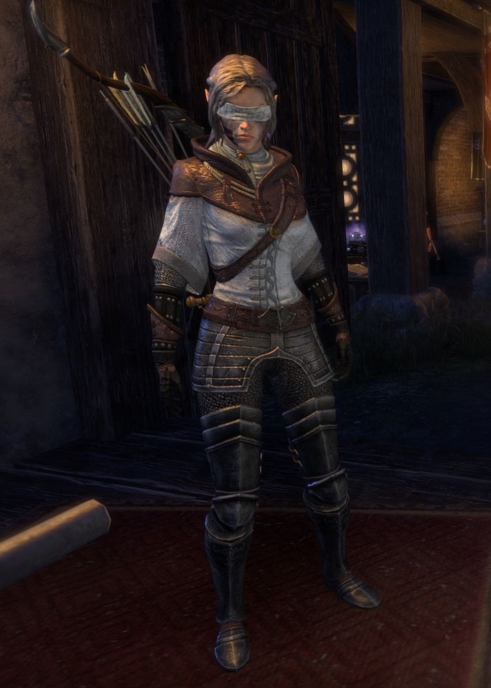 A character from Elder Scrolls Online game in a modern knight kind of drip