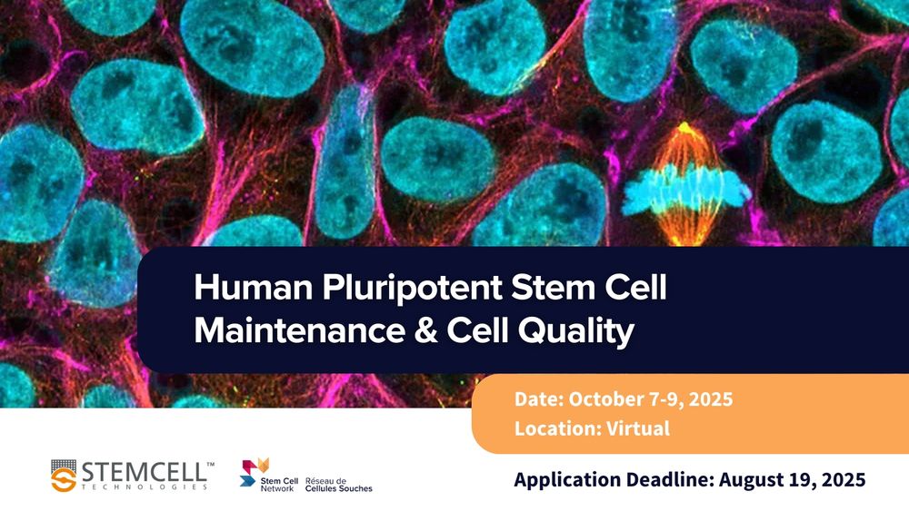 Human Pluripotent Stem Cell Maintenance & Cell Quality
