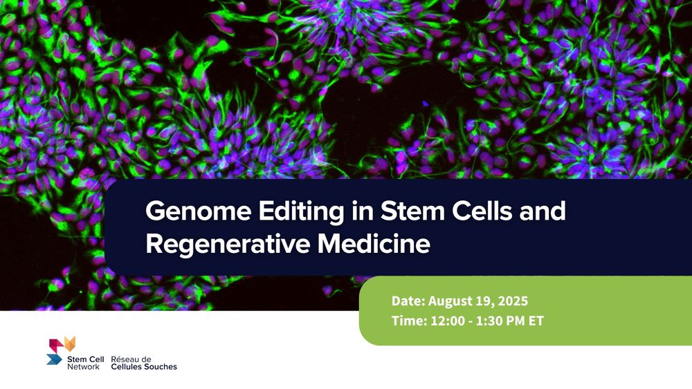 Genome Editing in Stem Cells and Regenerative Medicine
