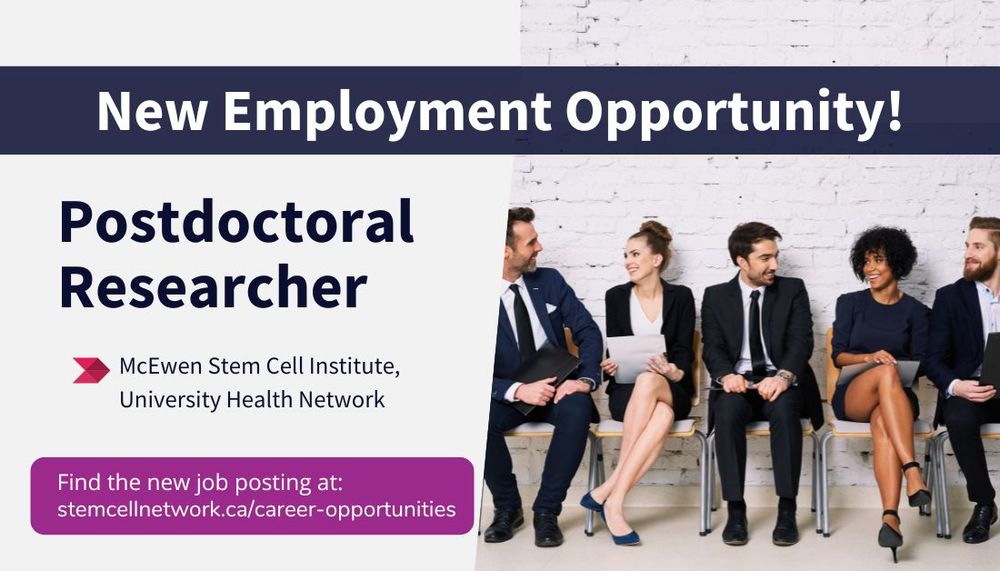 Postdoctoral Researcher