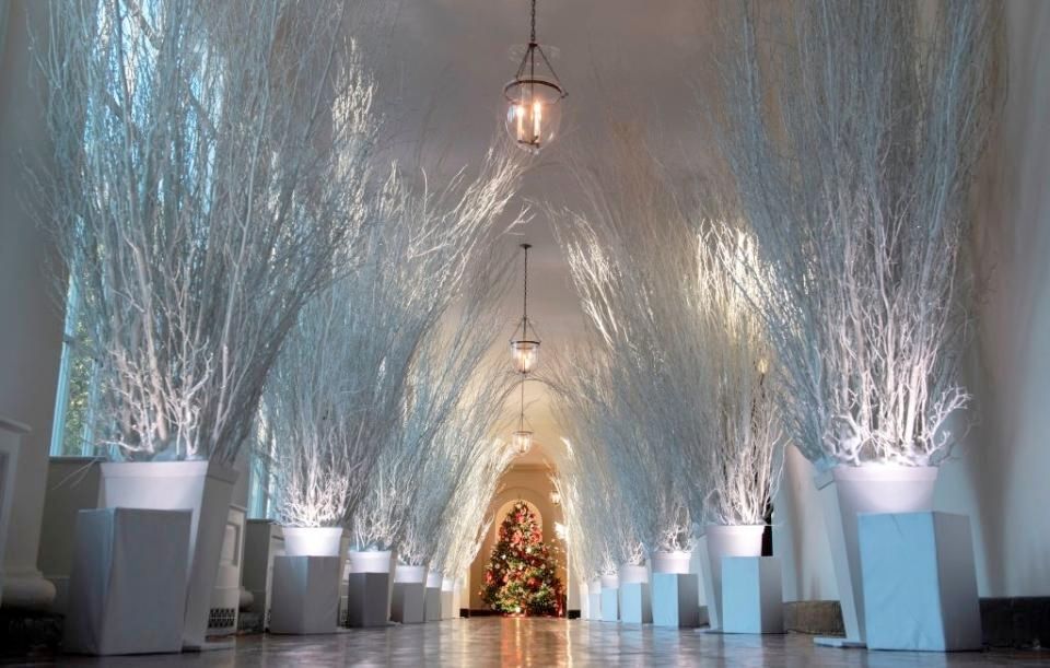 Hallway in the whitehouse with a traditional christmas tree at the end of it. Lining the halls are white, leafless branches in square pots underlit with lights.