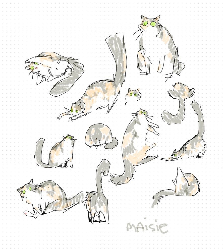 Cat doodles