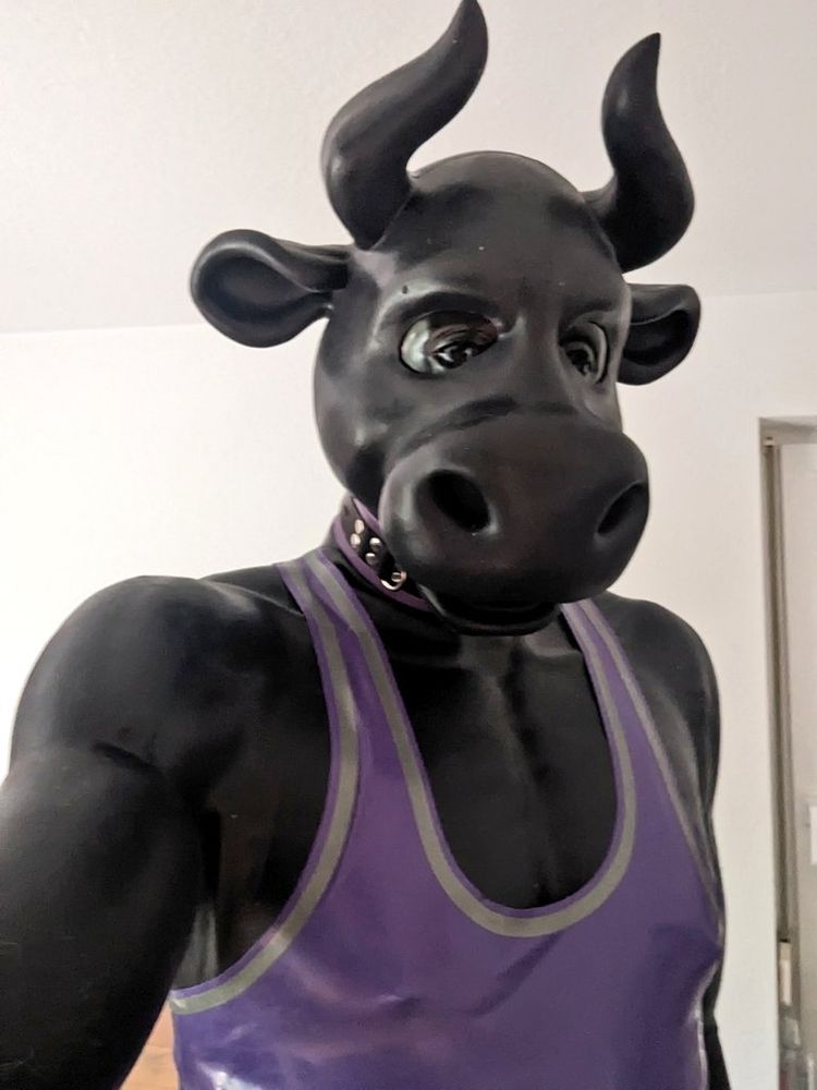 Selfie shot from the waist up of me wearing a full body black silicone muscle suit, black silicone cow mask with a full-coverage black rubber mask layered underneath, a purple latex tank top over the silicone suit, and a black/purple neoprene collar.