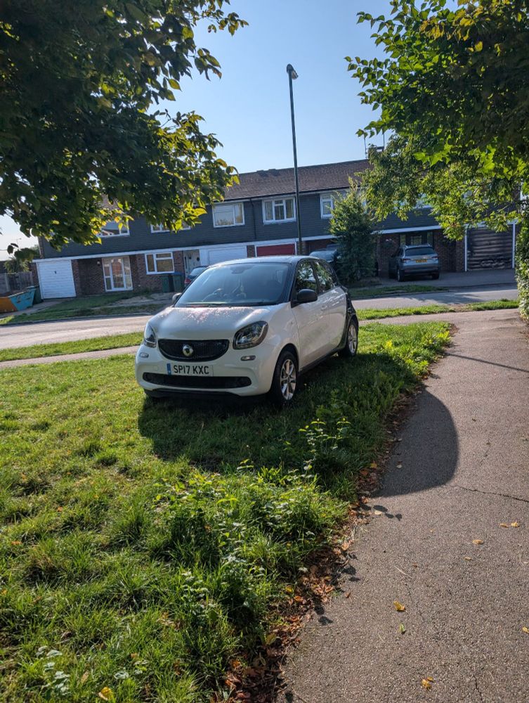Cunt parked on grass. They've driven over the fucking pavement to get here. Could have parked on the kerb, there's plenty of room, but no. Wankbastard has to abandon the piece of shit on the verge. Cunt. 