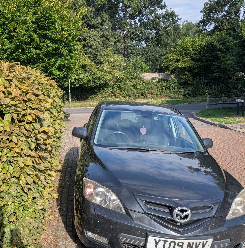 A car more or less parked in a hedge
