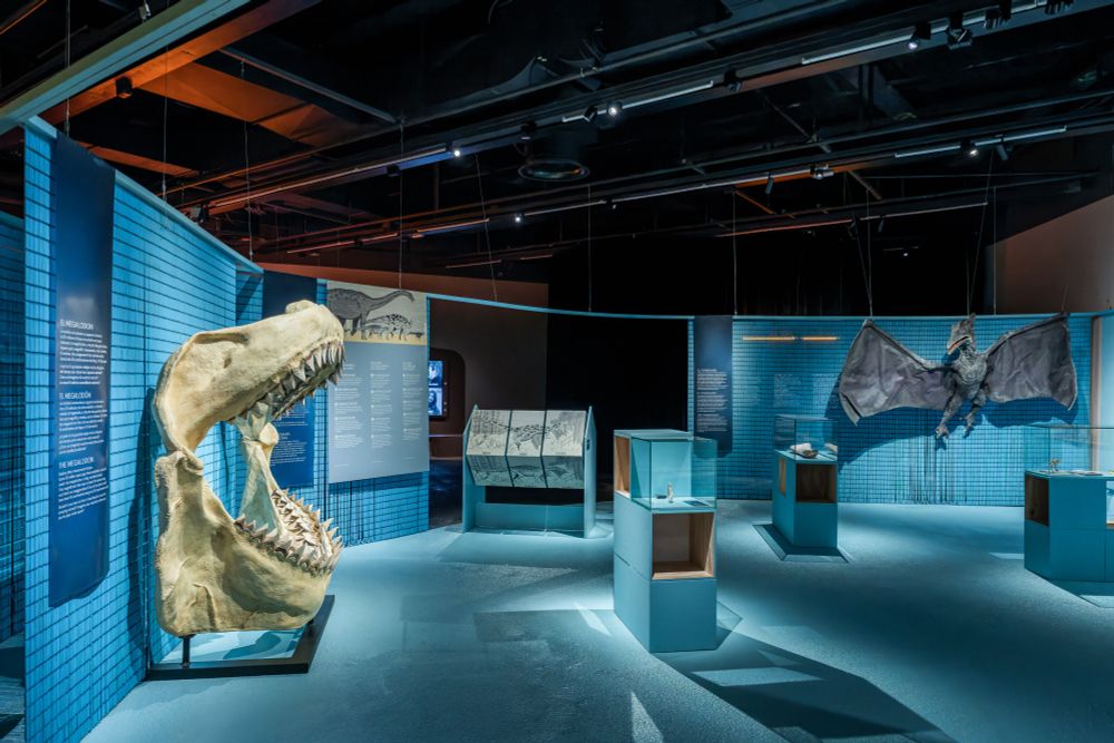 panoràmica de  l'àmbit Extinció de l'exposició on es veuen la mandíbula gegant del Meladonon i el rèptil volador concavenator, junt amb altres mòduls interactius. Imatge de Pepe Herrero/MCNB