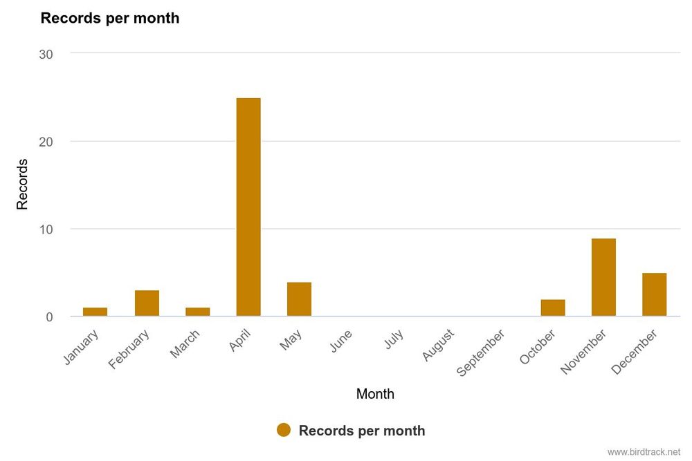 Bar chart of records of Short-eared Owl at Exminster Marshes, with clear peak in April