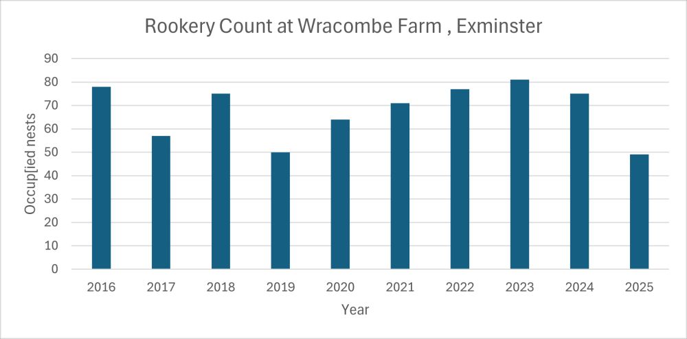 Bar chart showing occupied nests counts at Wracombe Farm rookery since 2016.  Counts are shown as blue bars against white background