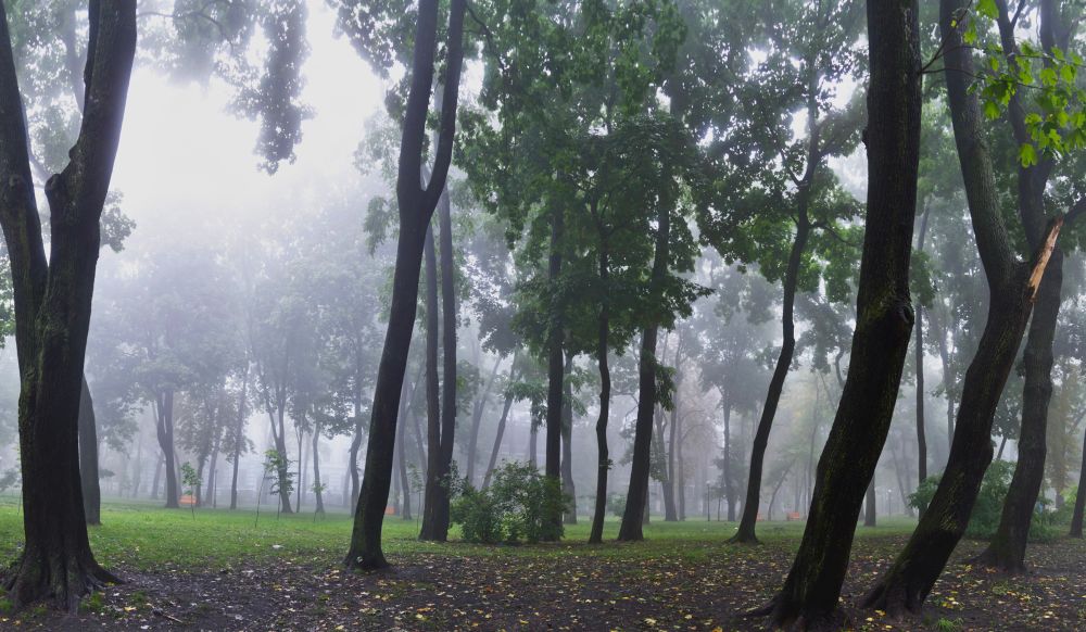 autumn 
Mariinsky Park
Kyiv, Ukraine

