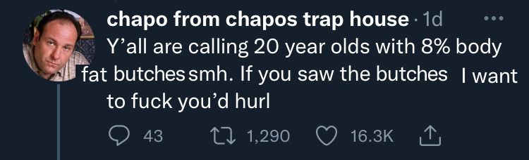A crude MsPaint edit of a tweet from 'chapo from chapos trap house', reading: "Y'all are calling 20 year olds with 8% body fat butches smh. If you saw the butches I want to fuck you'd hurl"