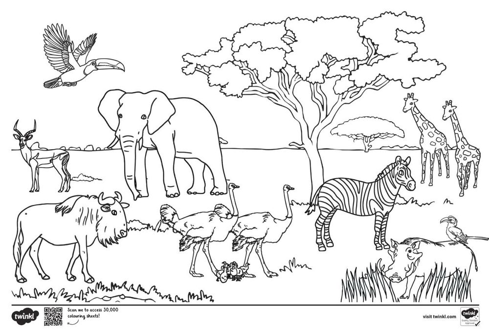 An illustration of African animals 