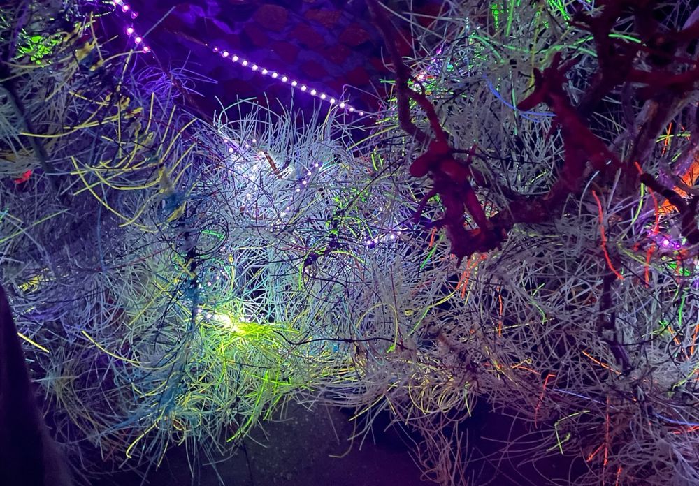 decorations IT is known for