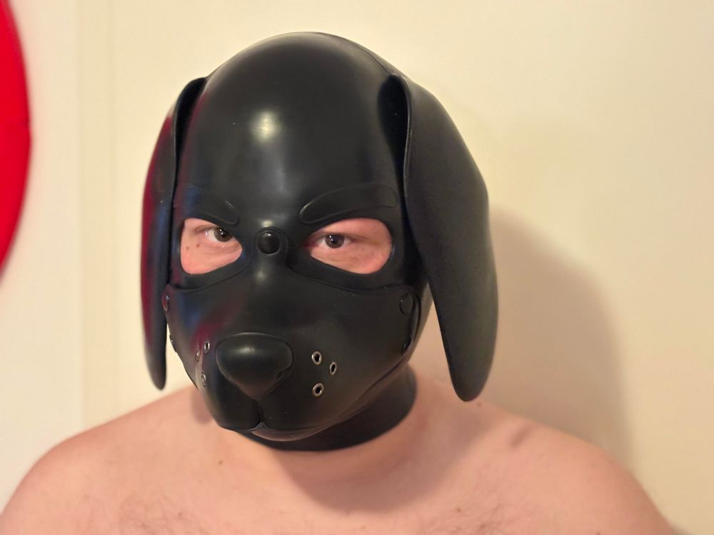 silicone dog hood