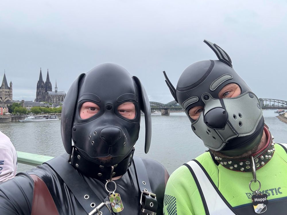 Two individuals wearing dog-themed masks and latex and neoprene suits pose for a selfie on a bridge with the river Rhine and the Kölner Dom cathedral in the background.