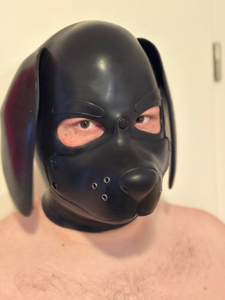 silicone dog hood