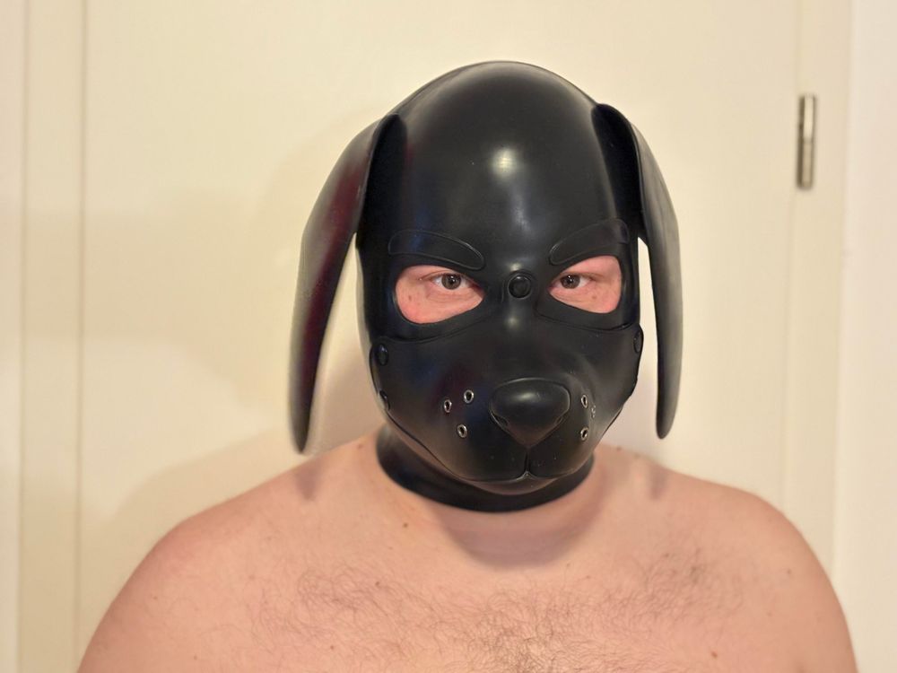 silicone dog hood