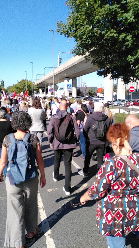 manifestants en cortège, par beau temps