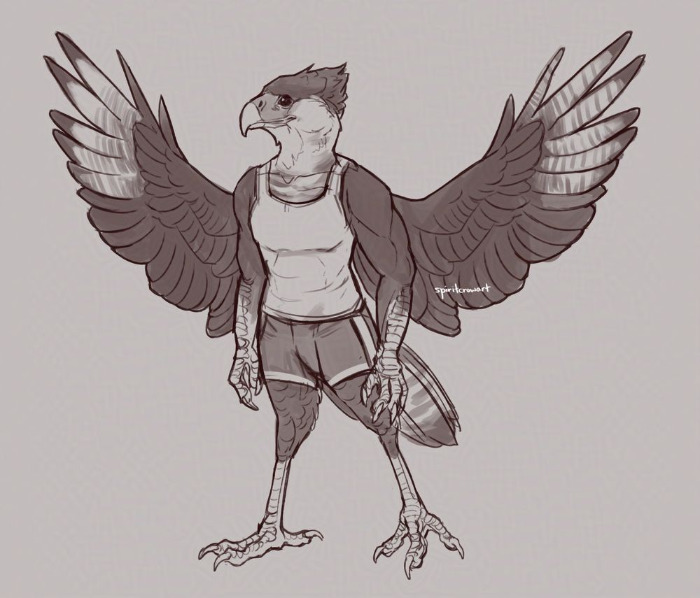 An anthropomorphic Caracara bird, wearing a tank top and athletic shorts. He has a dark crest on his head, and mostly black wings with white on the end feathers.