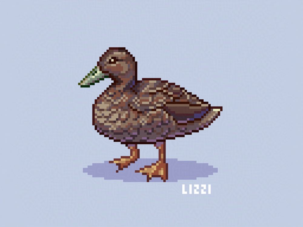 Pixel art of a Hawaiian duck. It has mostly brown feathers, a light green bill, and orange webbed feet.