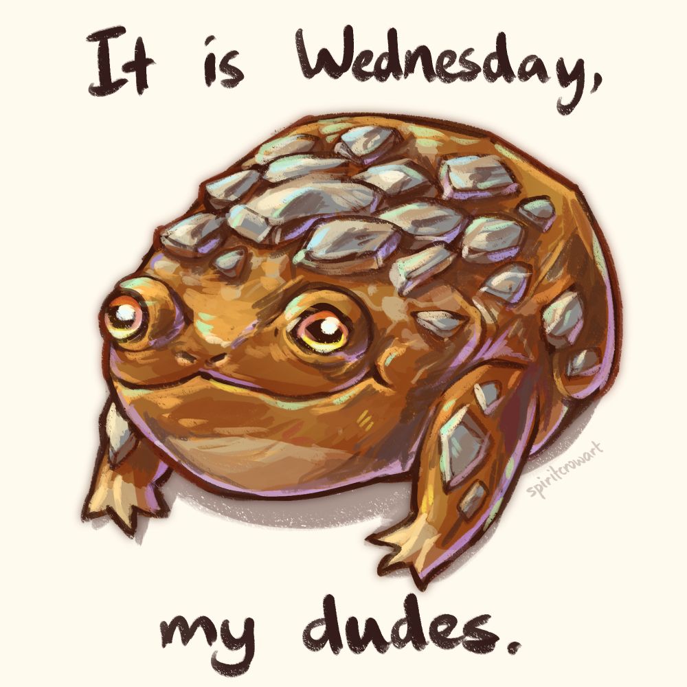 A digital painting of a pebbit, an orange frog covered in gray stones on its back and legs. The caption reads "it is Wednesday, my dudes"