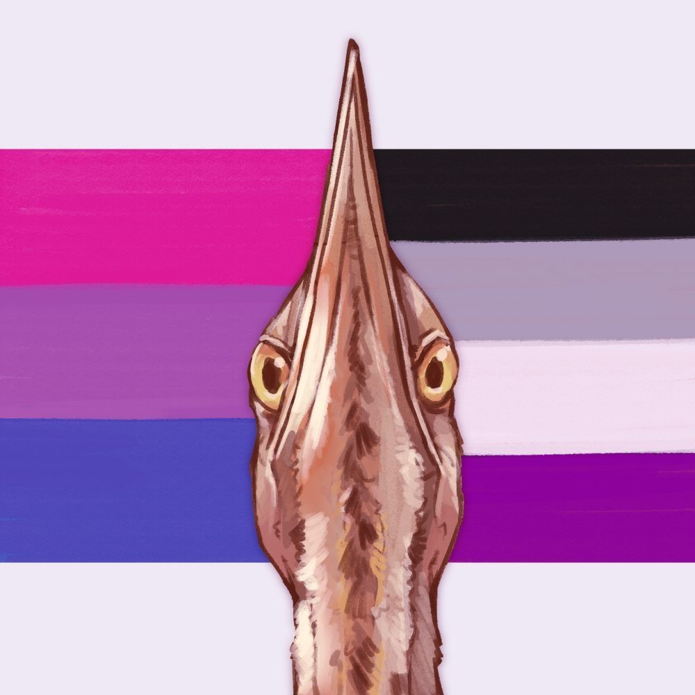 A digital painting of a bittern looking at the viewer from the front with an intense expression. In the background is a split bisexual flag and asexual flag.