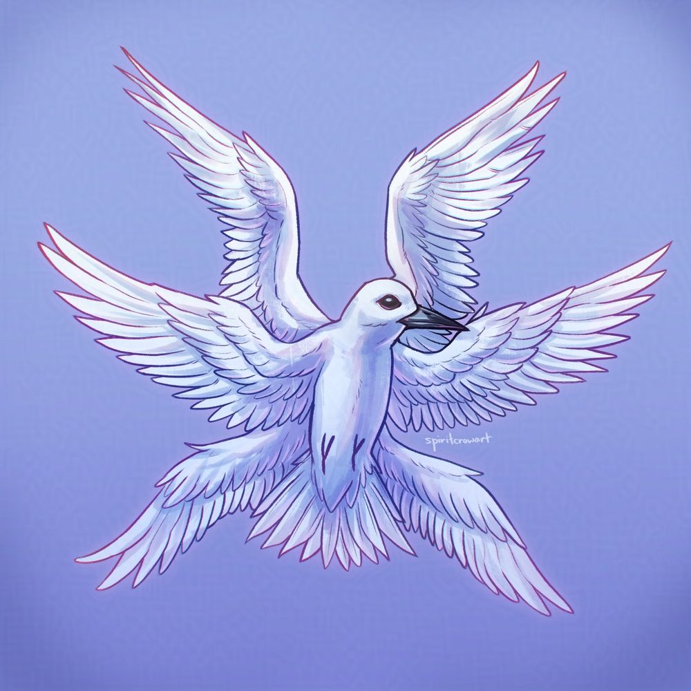 A white tern depicted as a bibically accurate angel. It has one head and 3 pairs of wings. It has white feathers, with a black beak and black eyes.