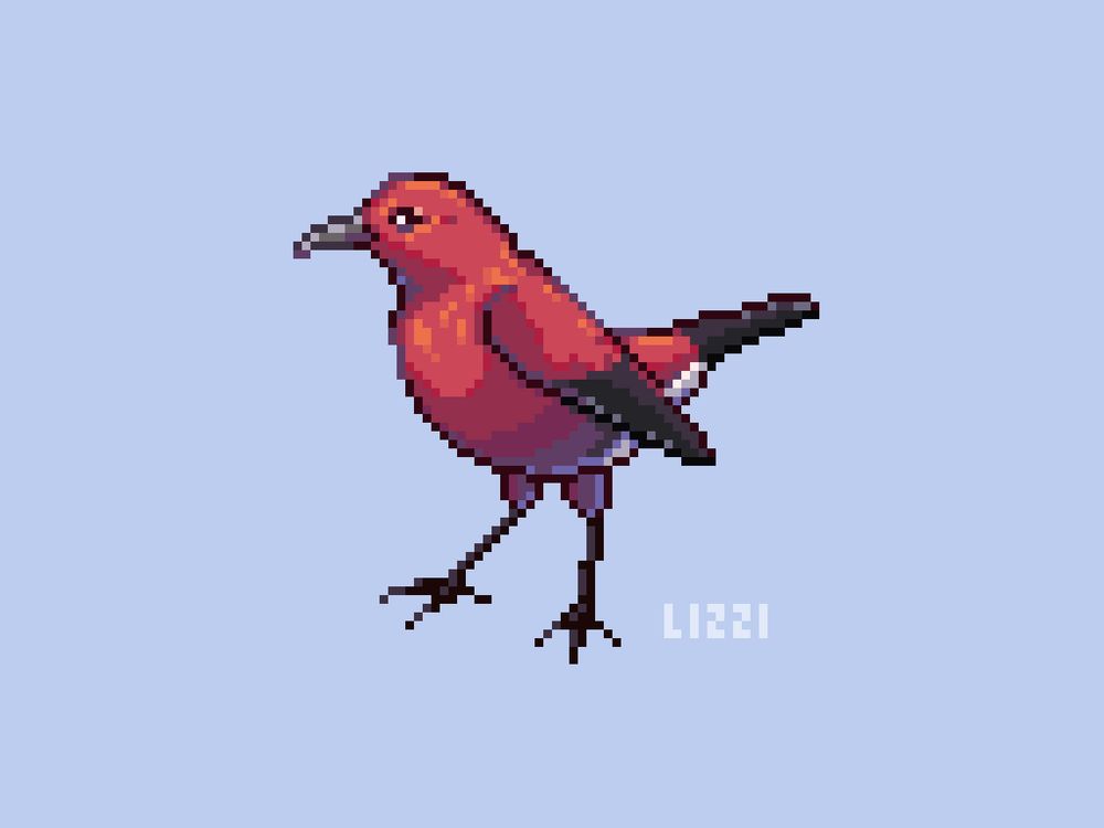Pixel art featuring the 'Apapane bird, a red honeycreeper endemic to Hawaii. It has a gray pointed beak, black feathers on its wings and tail, and white fluff on its underside.