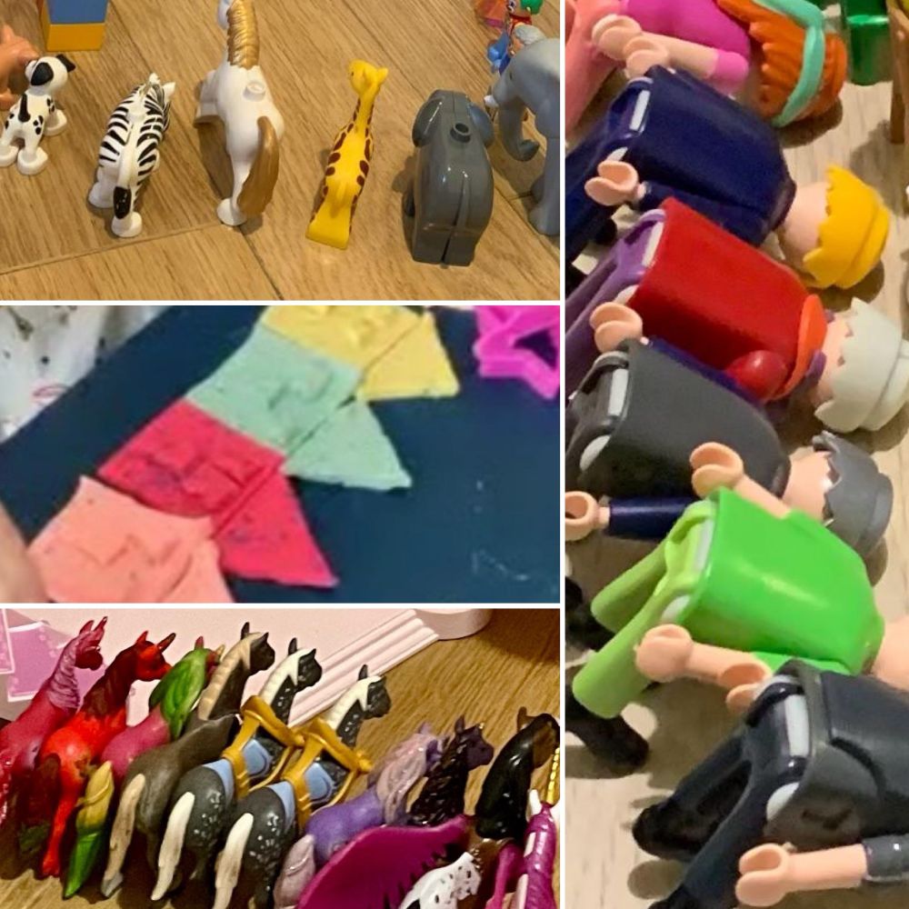 Meticulously placed toys in an autistic row
