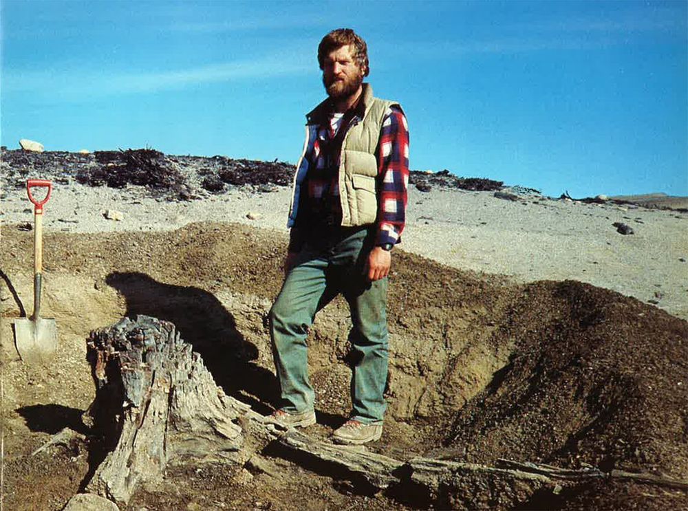 Geologist James Basinger standing beside an excavated tree stump in the high Canadian Arctic. He is a bearded white man wearing typical field clothes (hiking boots, green work pants, a plaid shirt, and a beige vest) and looking at the camera. A shovel is in the ground beside him, and it is a clear summer day. The closest living trees are a thousand miles away.