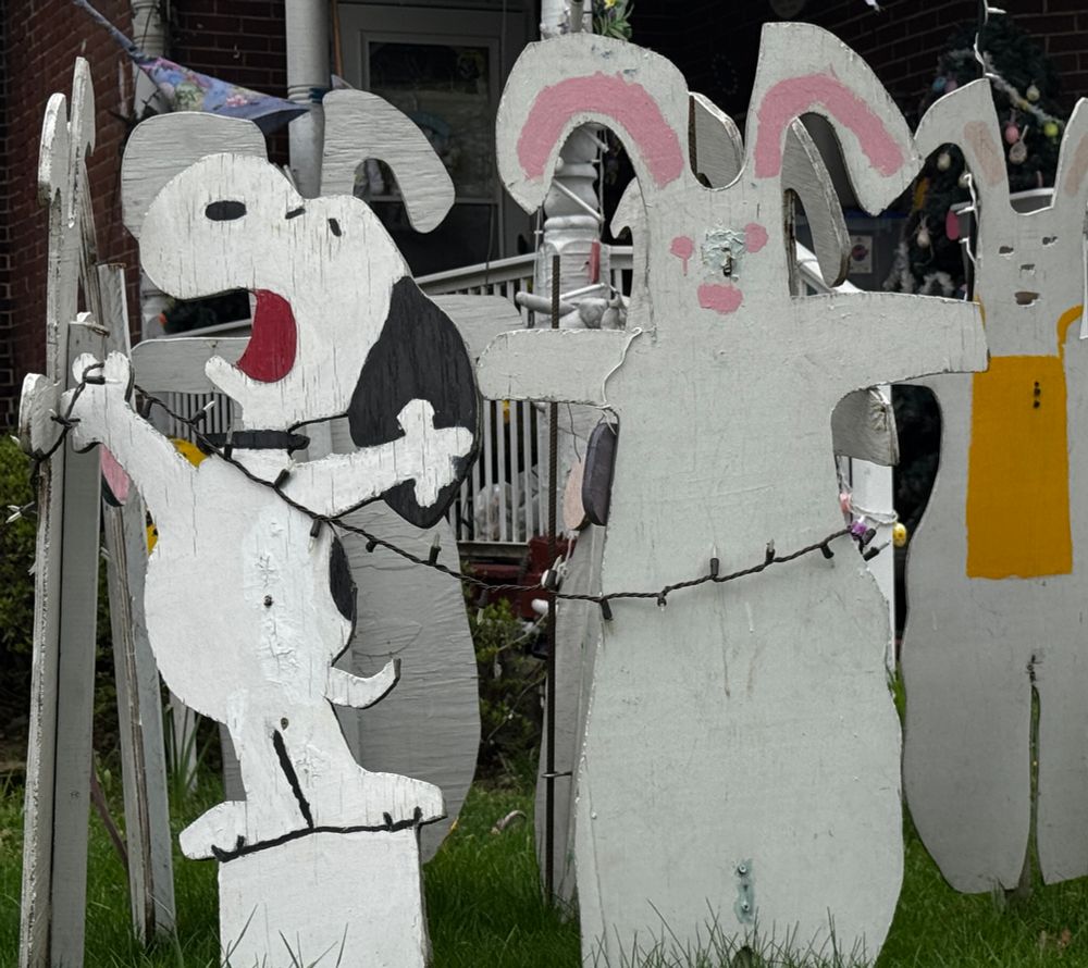 snoopy and cursed wooden bunnies 